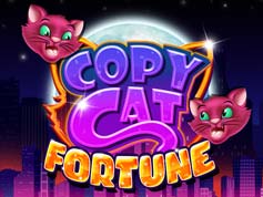 Play now! Copy Cat Fortune